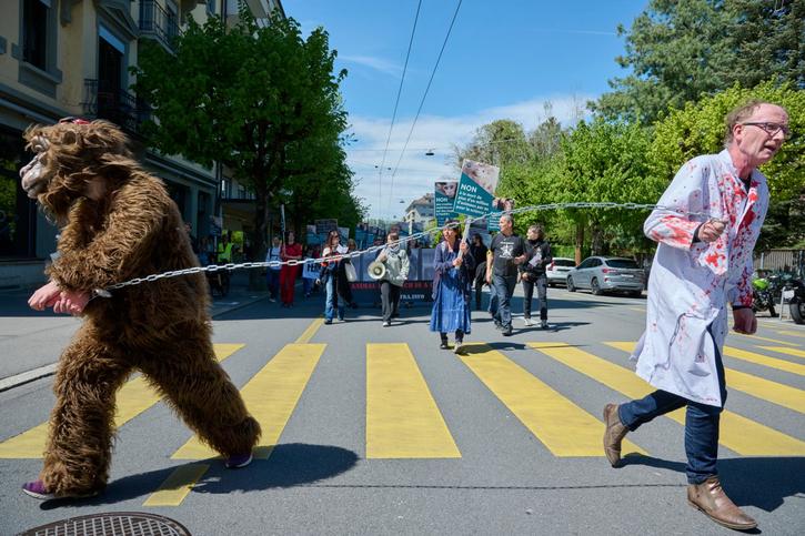 Recherche: Des manifestants ont défilé contre l’expérimentation animale dans les rues de Fribourg